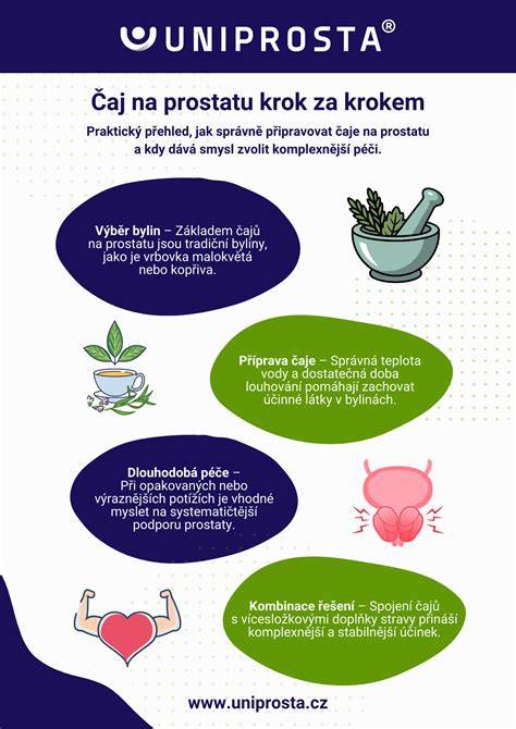 lipovy-caj-infografika