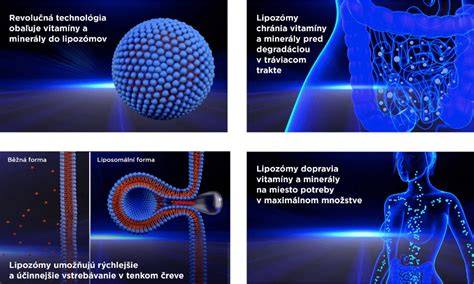 Infografika: Rozdelenie typov odsávačiek a ich hlavné výhody