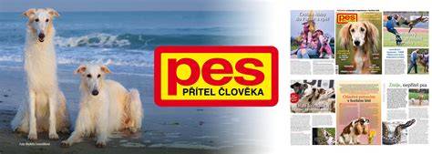 Pomocné vizuálne schémy o postupoch počatia a modlitbe