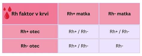 Infografika: ABO a Rh systémy, ako sa dedí krvná skupina a čo je Rh faktor
