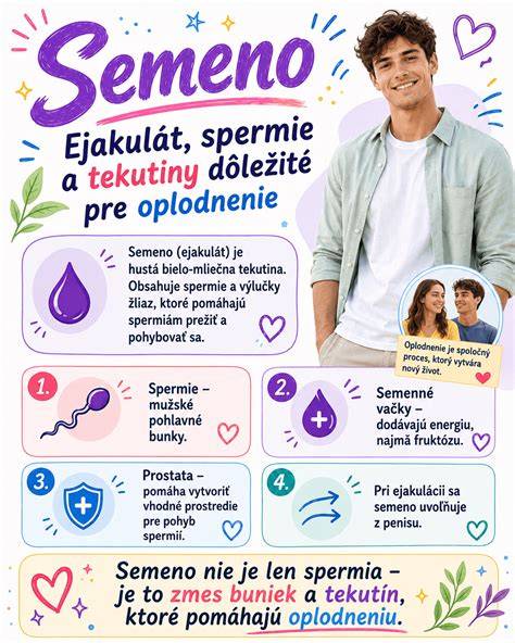 Infografika: Cesty spermií a pre-ejakulátu k vajíčku