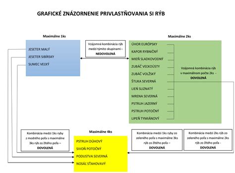 Grafické znázornenie spojení medzi rodičovskými kompetenciami a vývinom dieťaťa