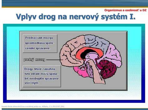 Infografika: Vplyv drog na plodnosť - mechanizmy a obnovenie