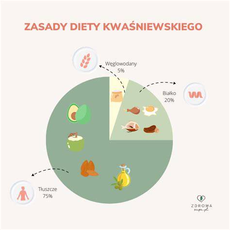 infografika-OCR-a-dieta