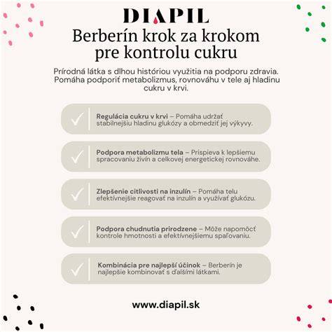 Infografika: Krok za krokom k RP