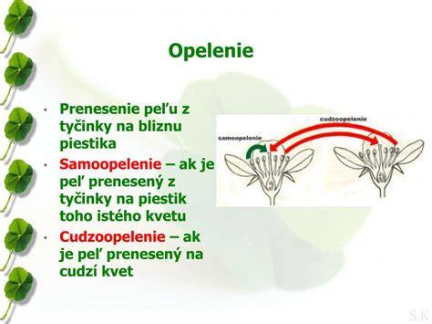 Opelenie a oplodnenie nahosemenných rastlín: procesy, mechanizmy a porovnania