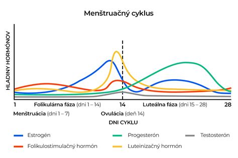 Diagram plodného okna v typickom 28-dňovom cykle