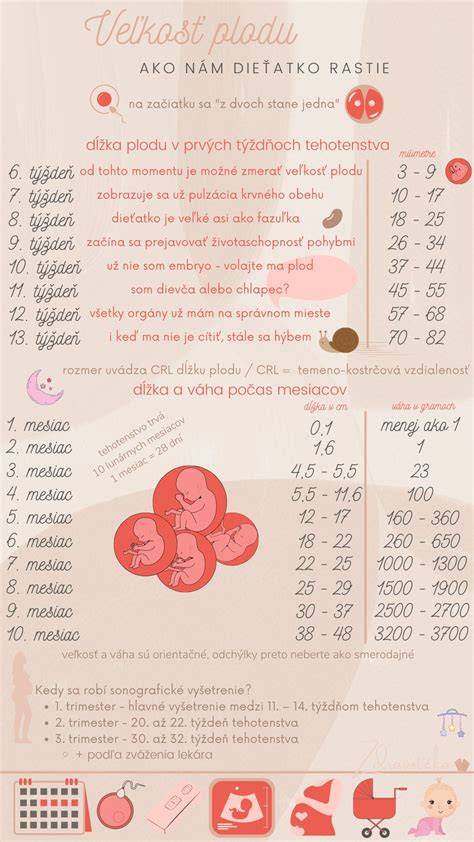 Infografika: Citlivé obdobia vývoja plodu a najčastejšie antibiotiká používané v tehotenstve