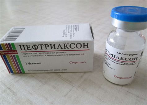 Otehotnenie počas užívania antibiotík: vplyv na plodnosť a antikoncepciu