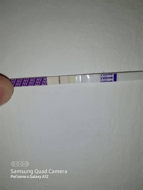 Infografika: Ako funguje ovulačný test a čo znamenajú výsledky