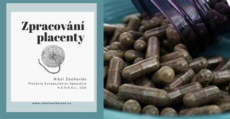 Infografika: Strom života placenty a cestu krvi medzi matkou a plodom