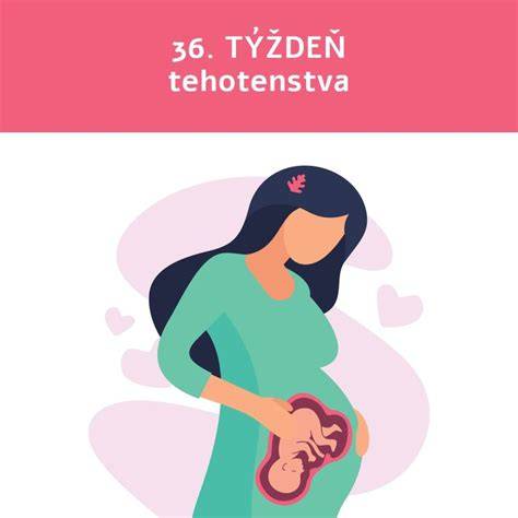 Obrázok znázorňujúci etapy tehotenstva a riziká potratu
