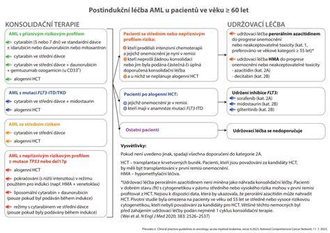 Infografika: Cesty diagnostiky a terapie do škôl