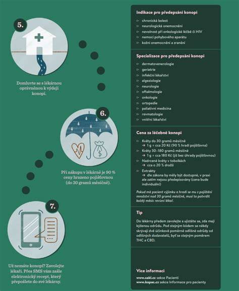 Infografika: Cesta profesionálneho náhradného rodiča od výberu po starostlivosť