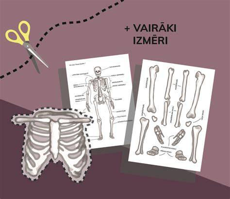 obraz skeletu detí s rastovými platničkami a subperiostálnymi zlomeninami