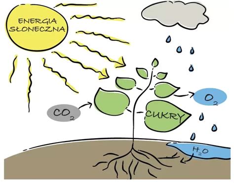 Infografika: Schéma procesu určenia výživného po dosiahnutí plnoletosti