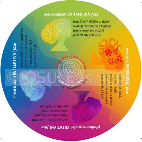 Infografika: Cyklická žena a psychosomatika maternice