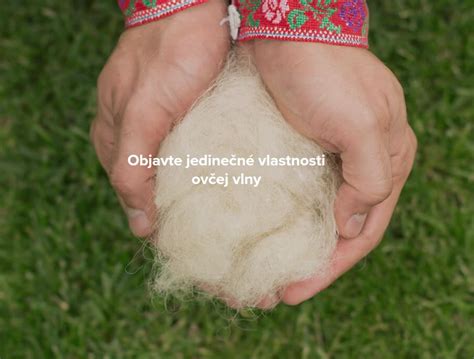 Infografika: Vlastnosti ovčej vlny a jej výhody
