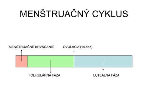 Schéma fáz menštruačného cyklu: krvácanie, folikulárna fáza, ovulácia, luteálna fáza