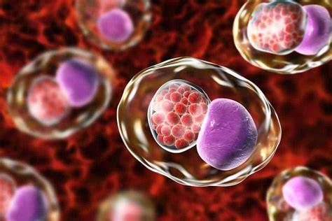 Chlamydia pneumoniae v tehotenstve: príznaky a liečba