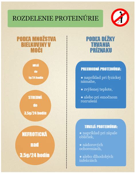 Infografika: Diagnostika proteinúrie v tehotenstve a čo znamenajú hladiny