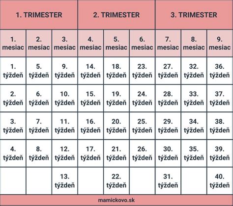 Tehotenstvo: Rozdelenie na trimestre, týždne a mesiace