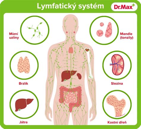Vizualizácia lymfatického systému a jeho uzlín