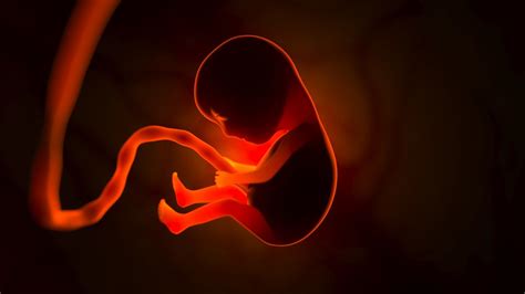 Symbolické znázornenie zmrazeného embrya