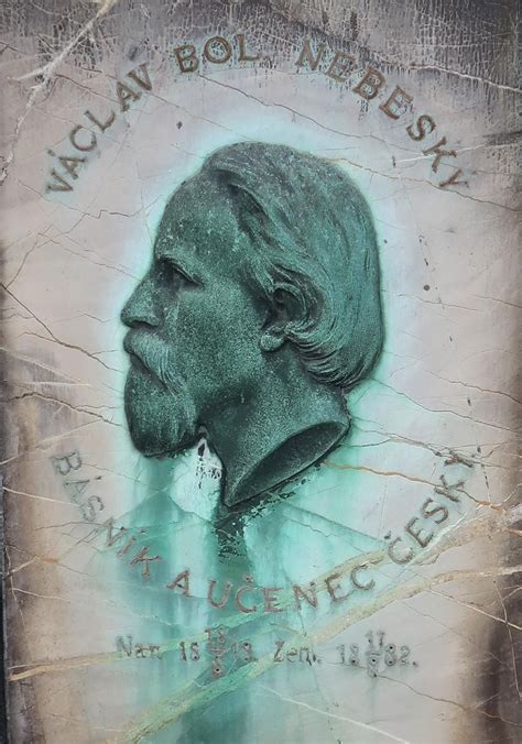 Portrét Václava Klausa