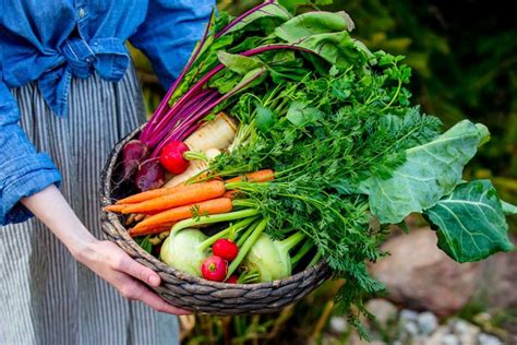 Rôzne druhy zeleniny a ovocia pre detskú stravu