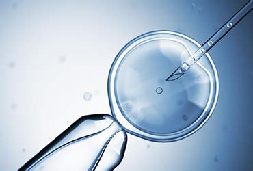 proces intrauterinnej inseminácie