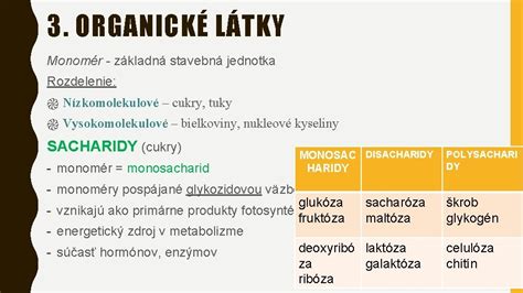 Vzťah matka – dieťa: Základná stavebná jednotka ľudského života