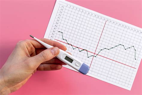 Diagram zmien cervikálneho hlienu počas menštruačného cyklu