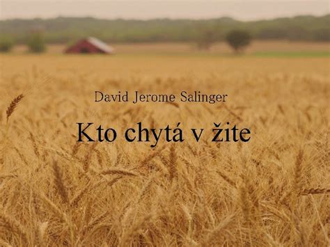 Štruktúra rodiny v románe Kto chytá v žite