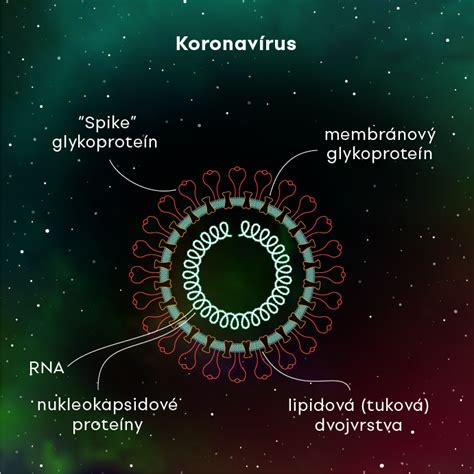Ilustrácia koronavírusu