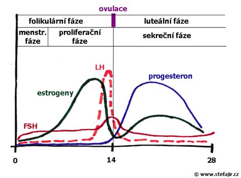 Graf znázorňujúci pokles hladiny estrogénu a nárast FSH počas perimenopauzy