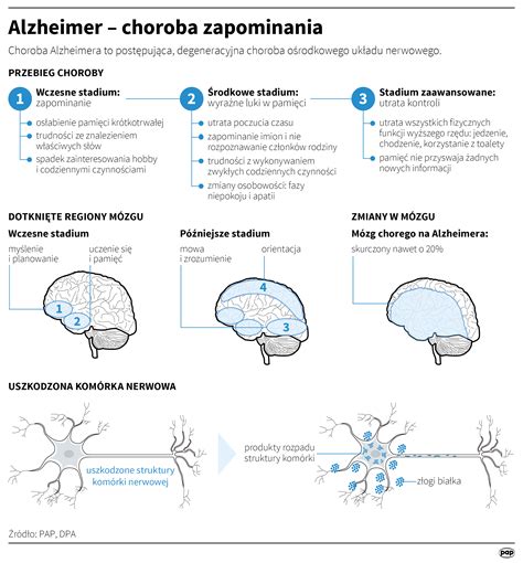 Alzheimerova choroba a tehotenstvo: Skoré začiatky a prevencia