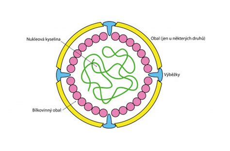 Ilustrácia šírenia vírusu