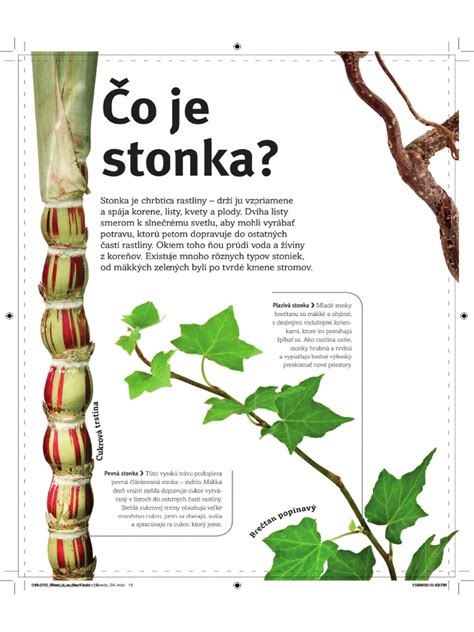 Ukážka zipsom spojených dielov fusaku