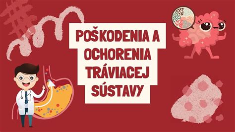 Endometrium: Význam, štruktúra a ochorenia