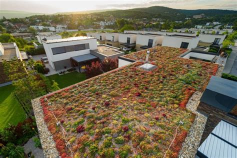 Vizualizácia vegetačných striech na budove školy