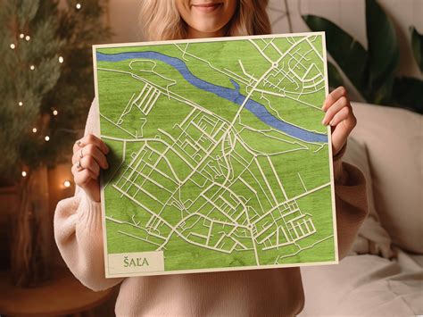 Mapa mesta Šaľa s vyznačením lokality školy