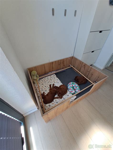 pripravený pôrodný box pre fenku