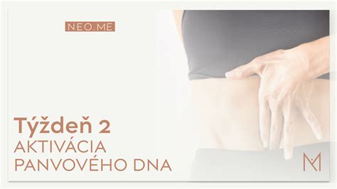 Ilustrácia panvového dna ženy s vyznačenými svalmi