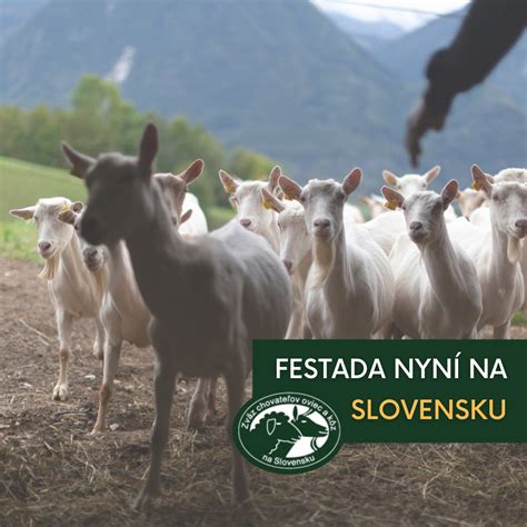 Mapa chovu oviec na Slovensku