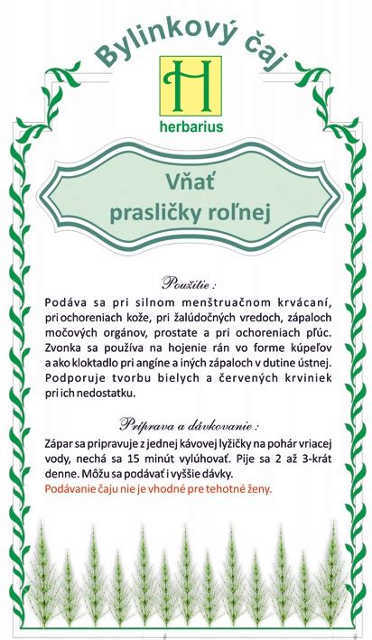 Ilustrácia prasličky roľnej