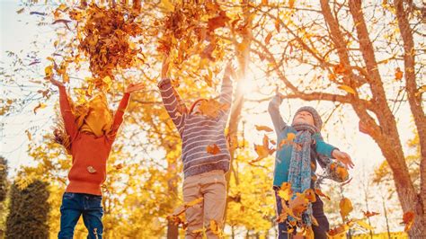 Deti v kočíku počas jesene