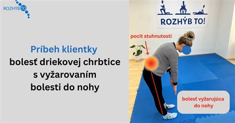 Schéma driekovej chrbtice s platničkami