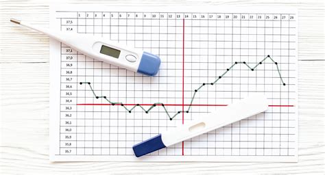 Tehotenstvo, zvýšená teplota a uhniezdenie vajíčka: Všetko, čo potrebujete vedieť