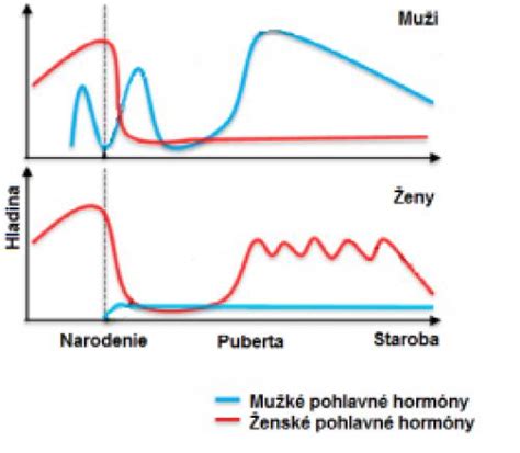 Grafické znázornenie hormonálneho cyklu ženy